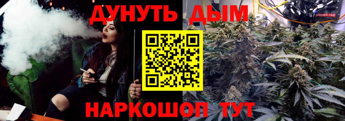 Марихуана сатива  Канабис планчик  Марихуана семена  Вход с VPN  Барнаул 